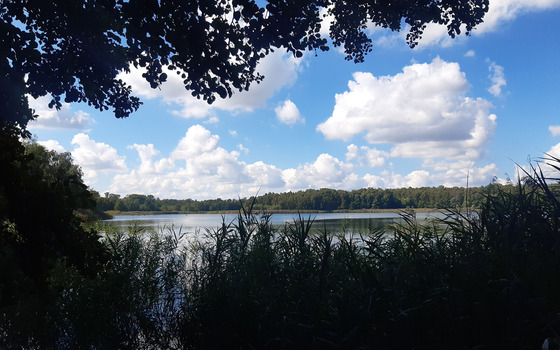 Foto: Susann Nitzsche, Naturwacht Brandenburg, Lizenz: 8Susann Nitzsche, Naturwacht Brandenburg
