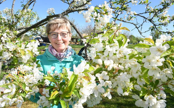 Foto: Veit Rösler, Lizenz: Naturpark Niederlausitzer Heidelandschaft