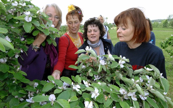Foto: Veit R&ouml;sler, Lizenz: Veit R&ouml;sler