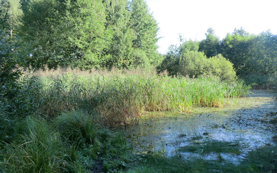 Foto: Naturpark NLH, Lizenz: Naturpark NLH