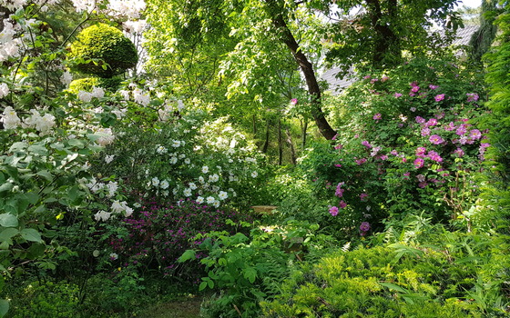 Foto: TVEEL, Lizenz: TVEEL