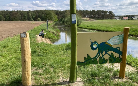 Foto: Naturpark Niederlausitz