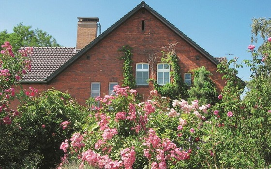 Foto: J&ouml;rg Schuster, Lizenz: J&ouml;rg Schuster